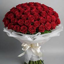 Букет 101 Красная роза Блэк Мэджик в Грановщине