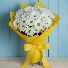 Букет цветов из:  Хризантемы в Грановщине