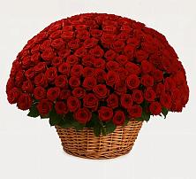 Премиум букет из: Розы #REPLACE_PRED# Грановщине